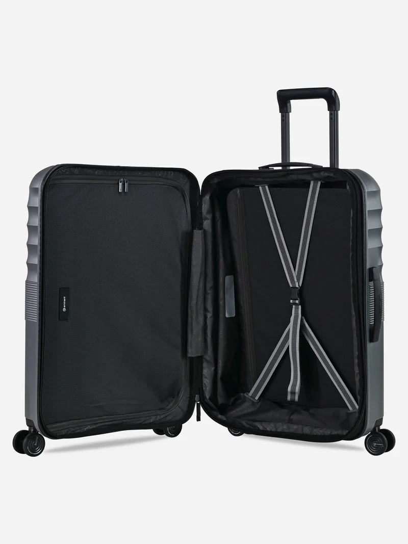 Dandelion - Set (Expandable) / Grey