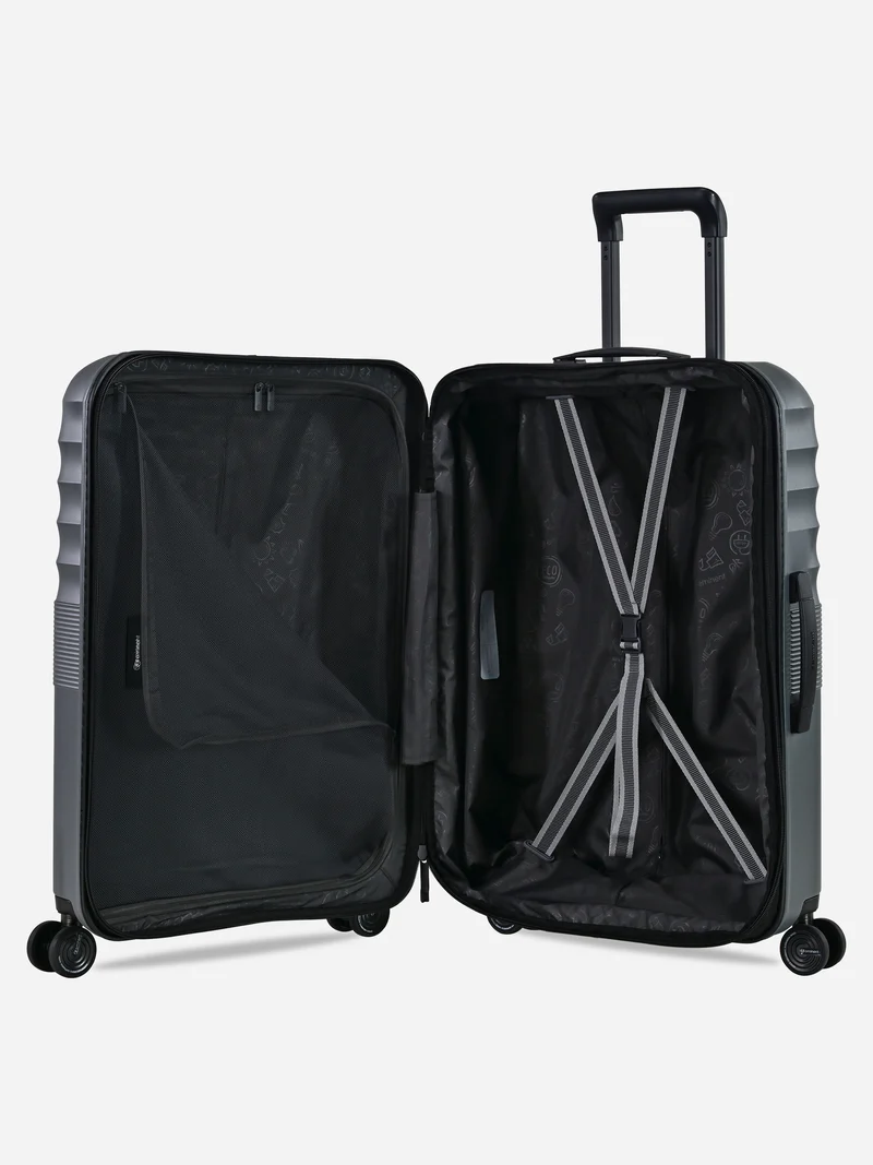 Dandelion - Set (Expandable) / Grey
