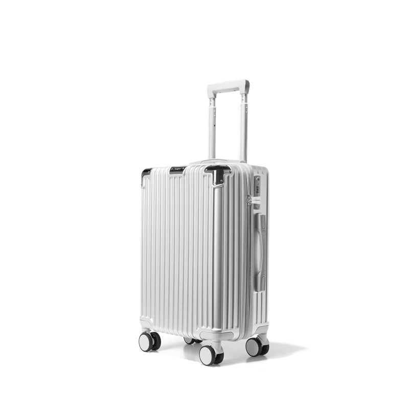 Handbagage koffer Zilver | Small