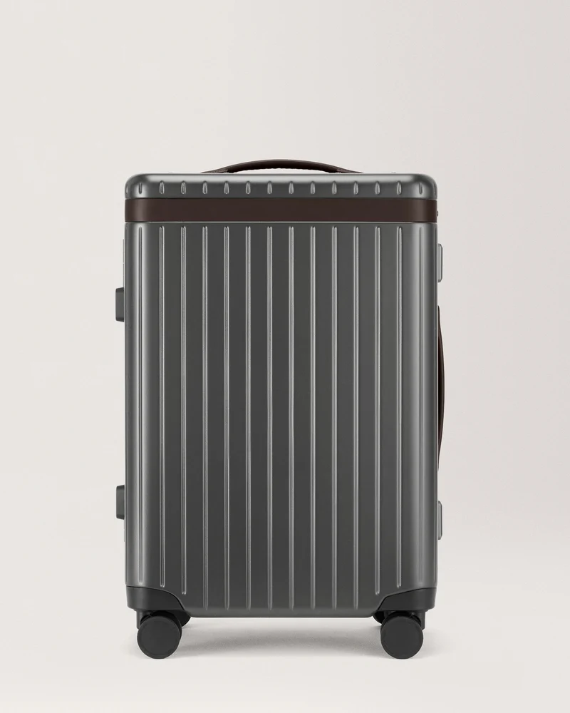The Large Carry-on