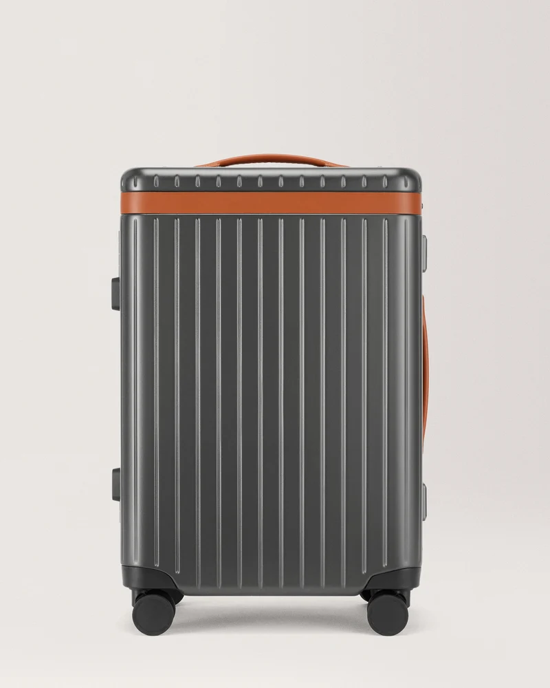 The Large Carry-on
