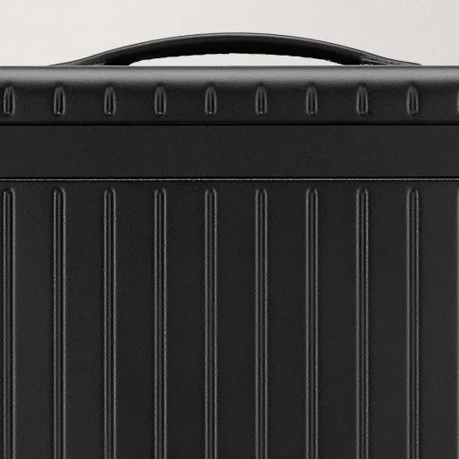 The Large Carry-on