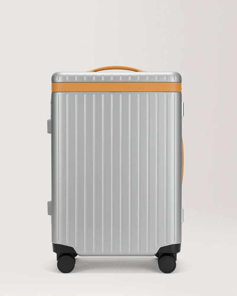 The Large Carry-on