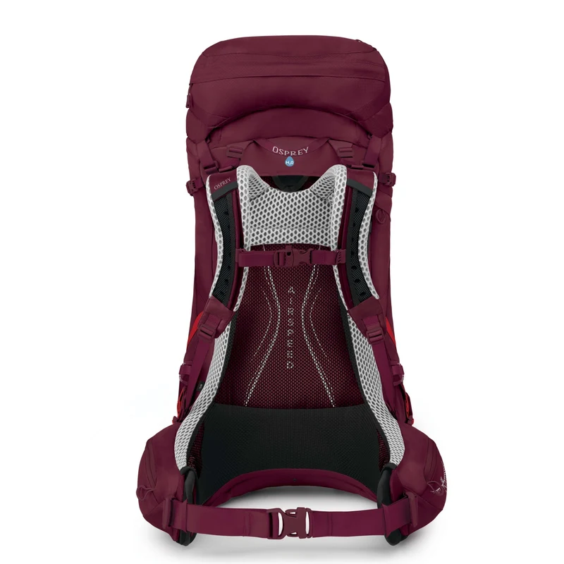 Osprey Aura AG LT 50 WM/L - Trekkingrucksack 80 cm (antidote purple)