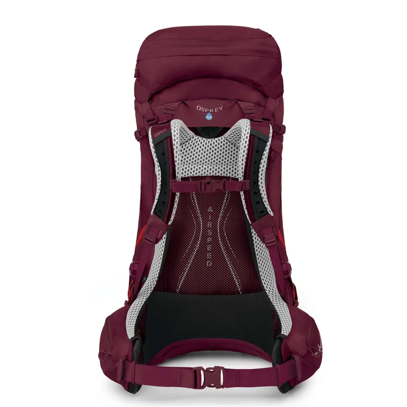 Osprey Aura AG LT 50 WM/L - Trekkingrucksack 80 cm (antidote purple)