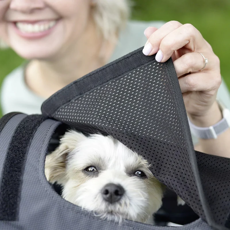 KLICKfix Doggy Sunshade - Sonnenschutz (schwarz)