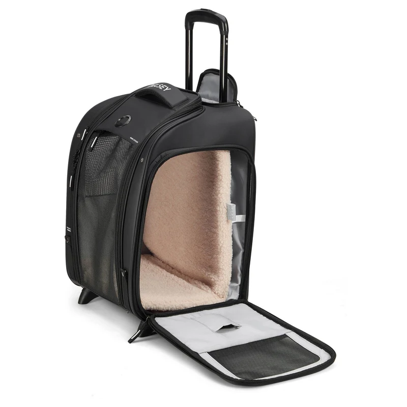 Delsey Paris Raspail - 2-Rollen-Tiertrolley 48 cm nachhaltig (schwarz)