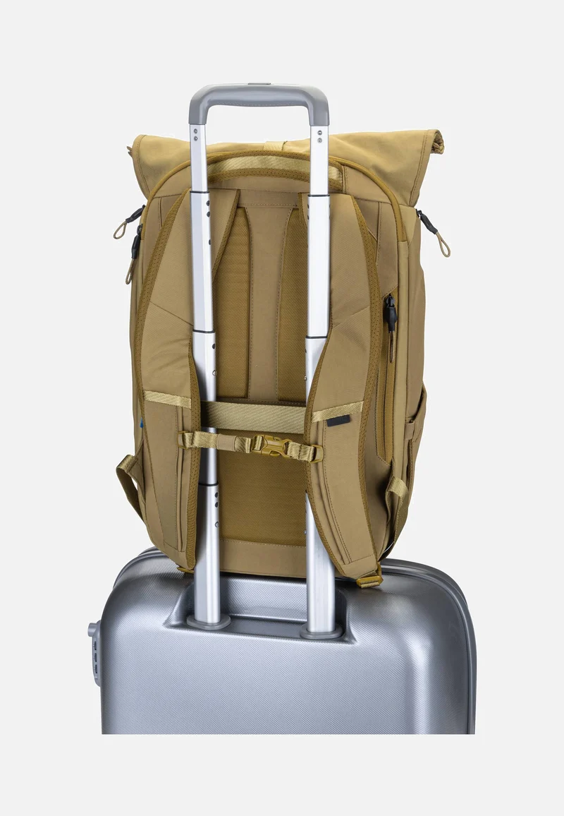 Paramount 3 24L Nutria - Rolltop Rucksack