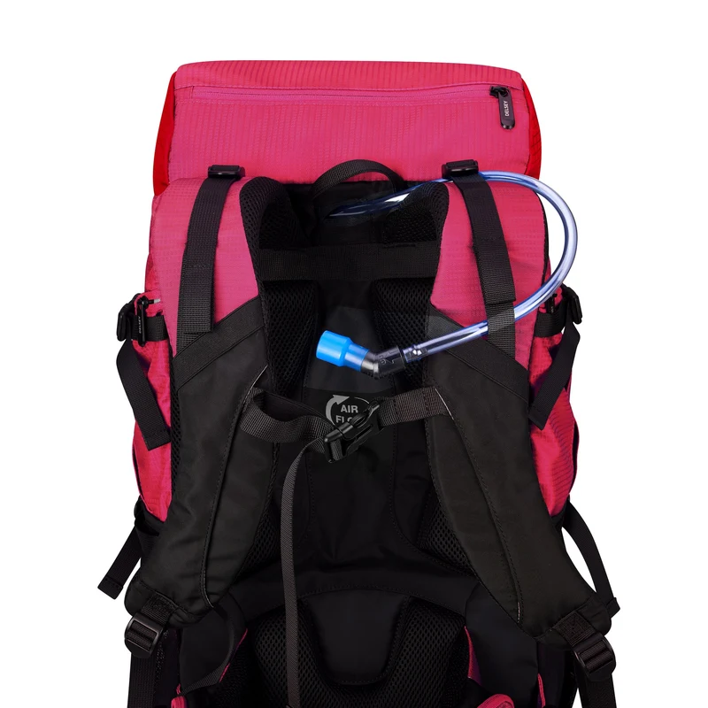 Delsey Paris Nomade - Rucksack 15" 43 cm L RIFD (paonie)