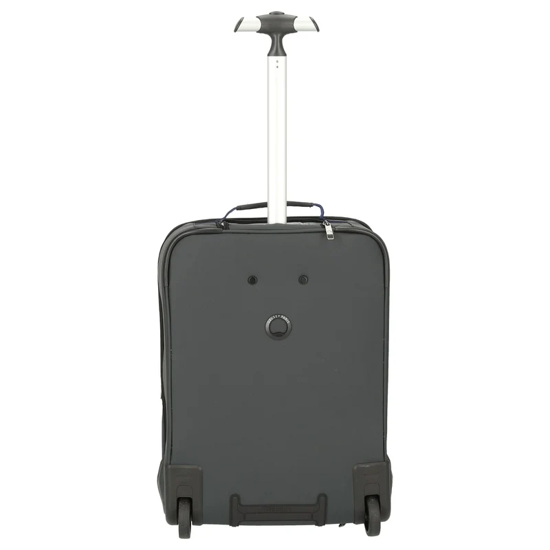 Delsey Paris Parvis Plus WPS Business - 2-Rollen - Rucksacktrolley 17.3" 51 cm (grau)