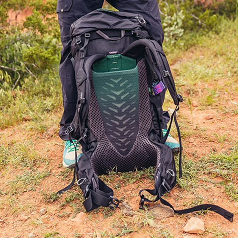 Gregory Stout 70 - Wanderrucksack 80 cm (forest black)