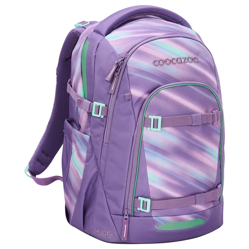 Coocazoo Mate - Schulrucksack 48 cm (Arctic Lights)