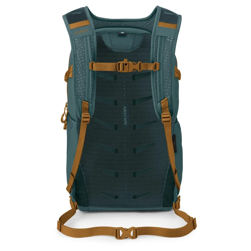 Osprey Daylite Plus - Rucksack 14" 48 cm (torrent blue)
