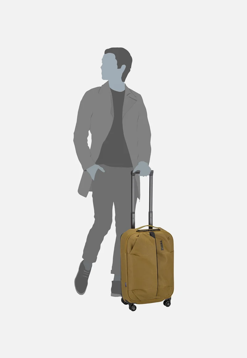 Aion Carry On Spinner Nutria - Koffer