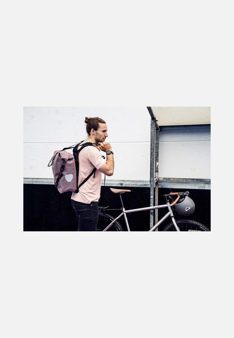 Back-Roller Urban Single QL2.1 Ash Rose - Fahrradtasche