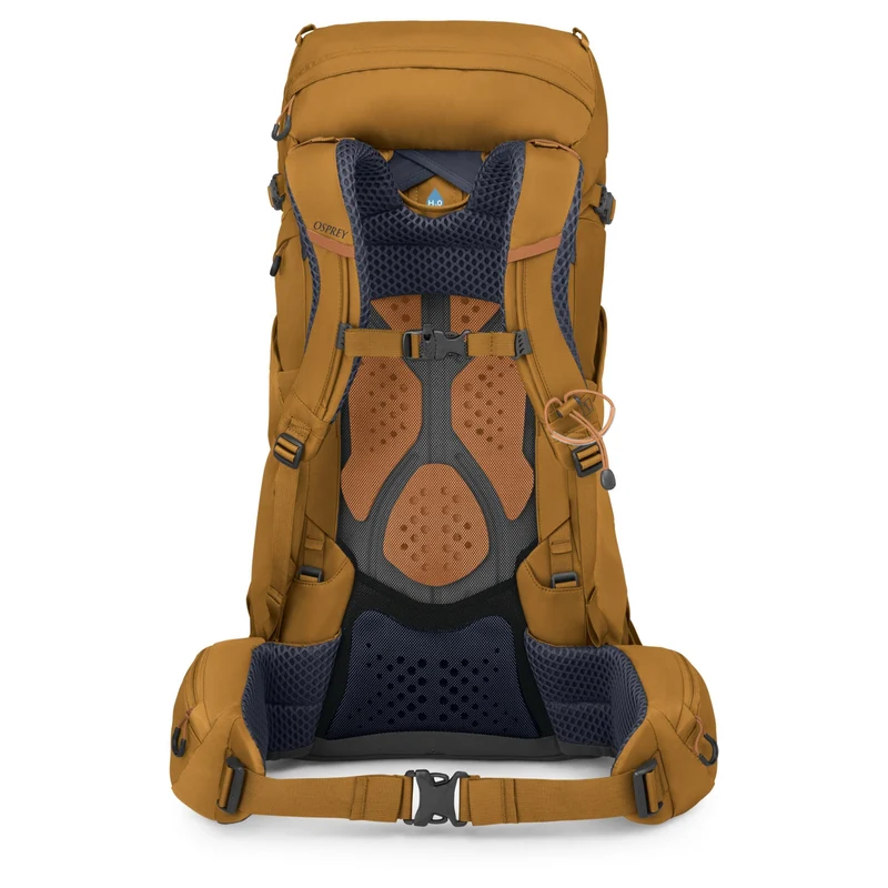 Osprey Kyte 38 Women -Wanderrucksack XS-S 66 cm (barley brown)