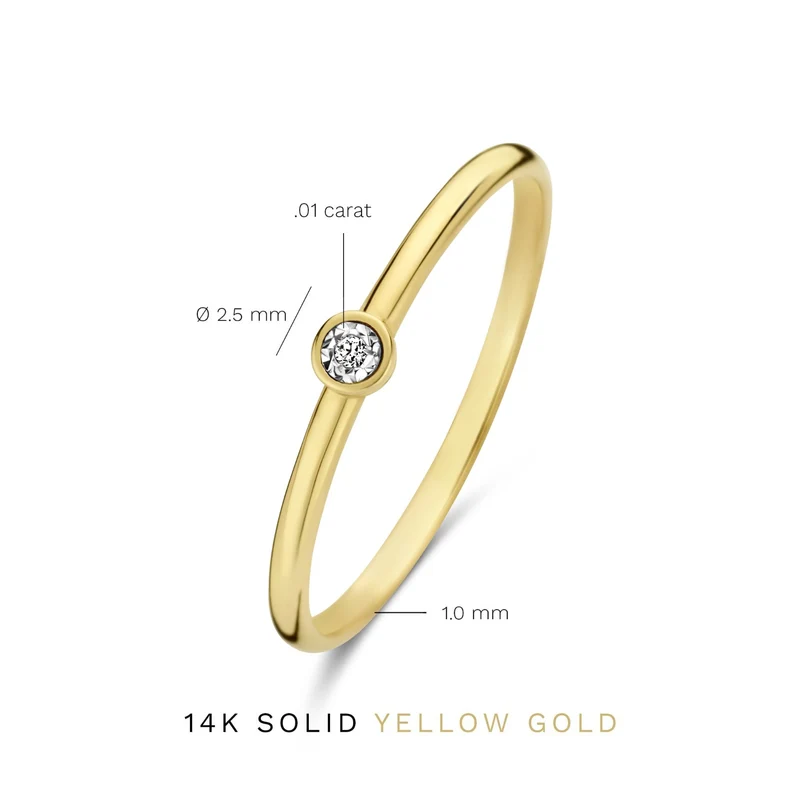 Isabel Bernard De La Paix Inaya 14 Karat | Gold Ring | Diamant 0.01 Karat | IBD330027-60
