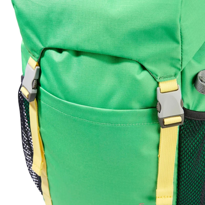 Jack Wolfskin Kids Explorer 20 - Kinderrucksack 47 cm (lizard)