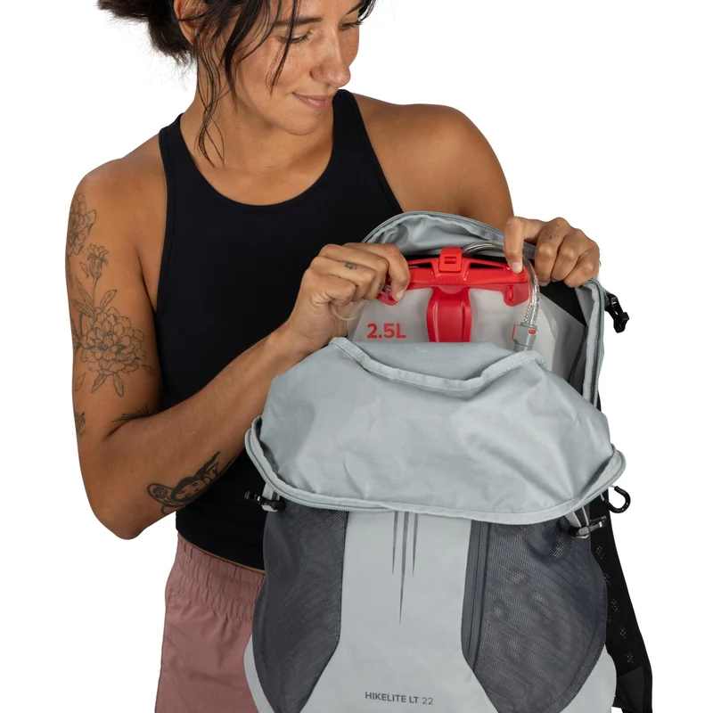 Osprey Hikelite LT 22 - Wanderrucksack 50 cm (silver lining)