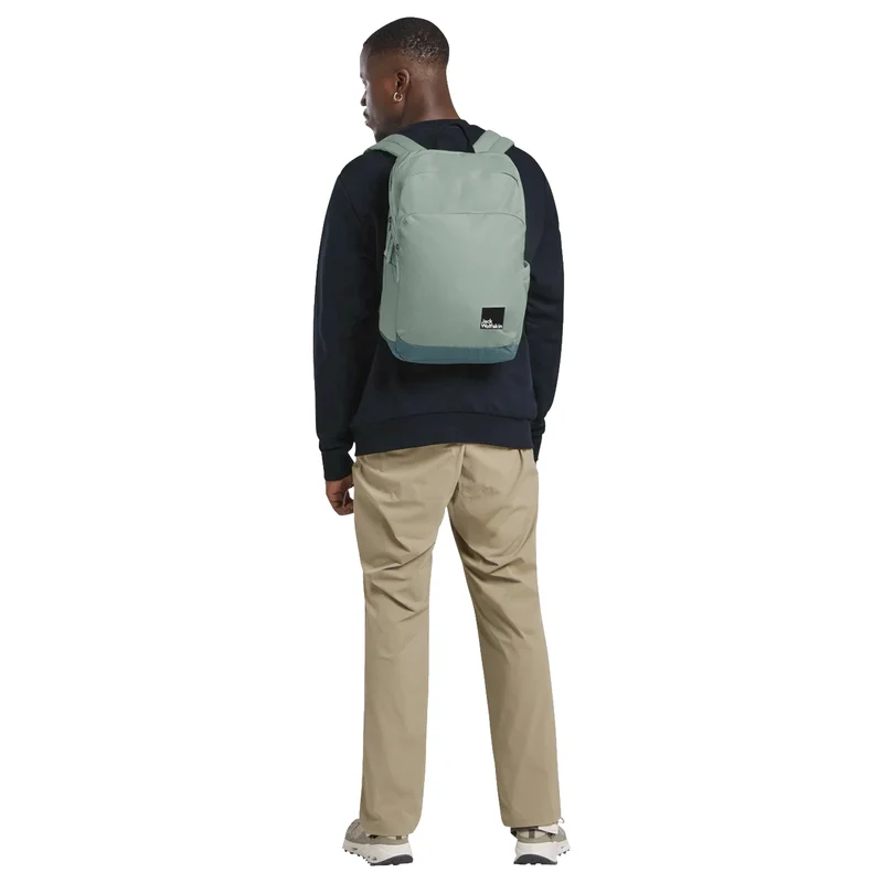 Jack Wolfskin Terraview 20 - Rucksack 43 cm (green zinnia)